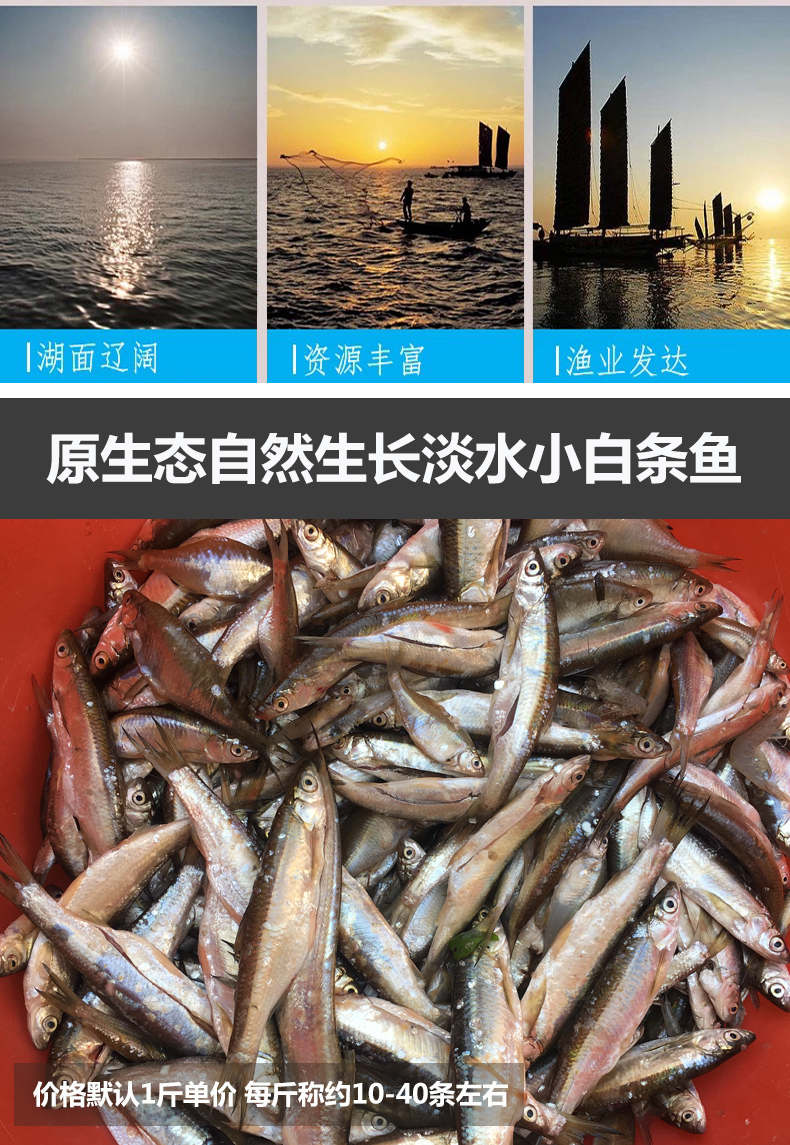 東北淡水青鱗子魚乾青鱗子餐條魚加工鮮活青鱗子藍刀魚廠家