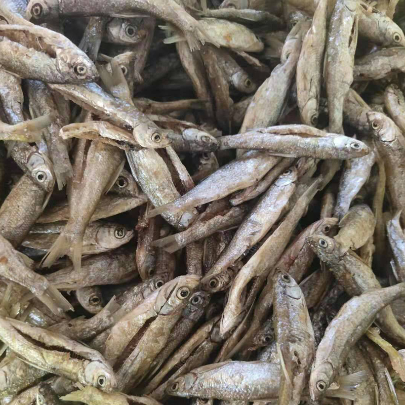 获取底价查看电话收藏商品产品信息联系方式公司长年供应新疆冷水鱼