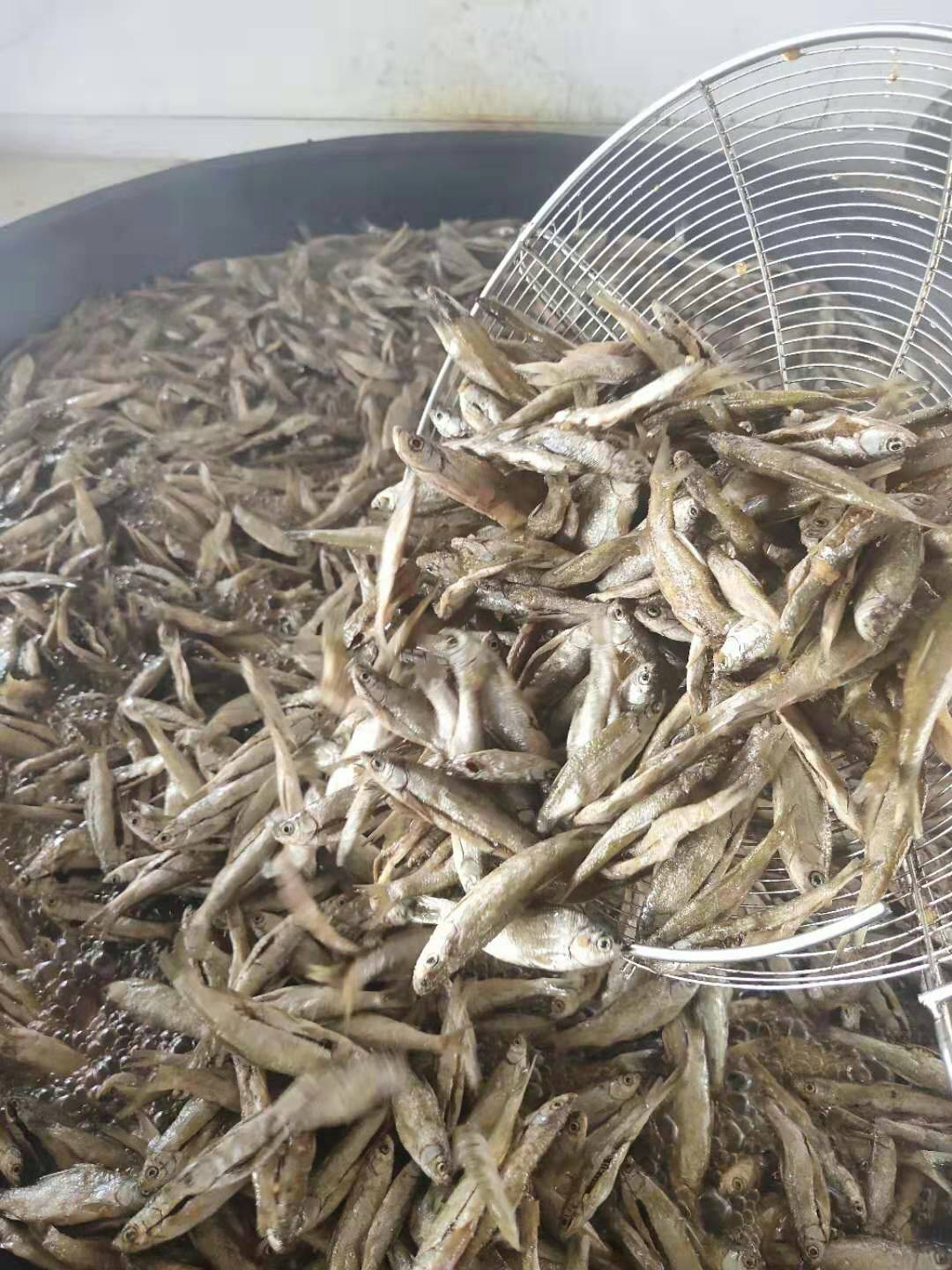 白条鱼干生产加工销售大量批发小杂鱼干生晒无盐白条鱼干