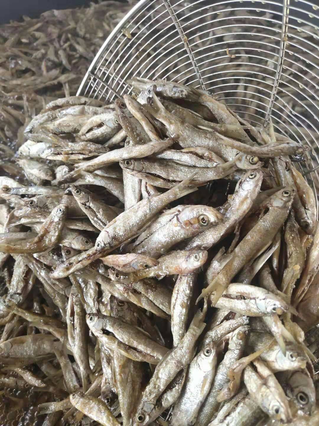 白条鱼干生产加工销售大量批发小杂鱼干生晒无盐白条鱼干