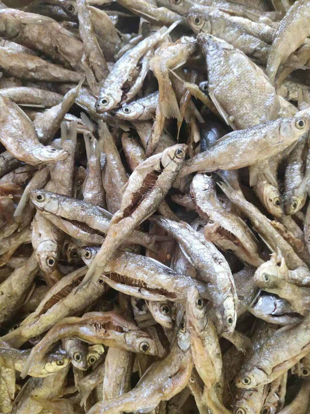 白条鱼干生产加工销售大量批发小杂鱼干生晒无盐白条鱼干
