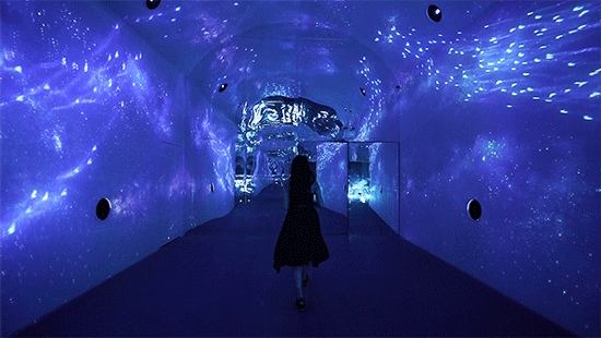 沉浸式全息投影