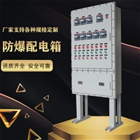河南防爆配电箱厂家 防爆照明配电箱 防爆动力配电箱