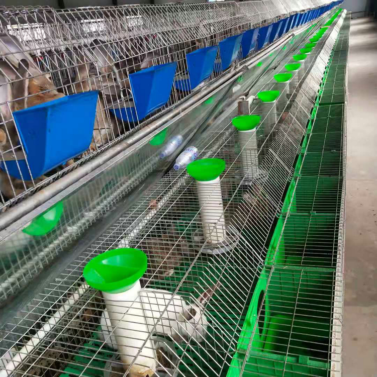 2026牛羊养殖业迎高景气周期！三大趋势定前景这样布局稳赚不慌U8国际- U8国际官方网站- U8体育APP下载