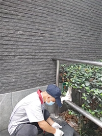 中江除白蚁公司上门服务除白蚁