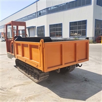 全封闭履带式爬山虎 四不像履带农用车 工程运输履带车