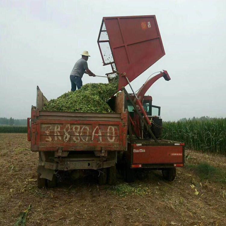 玉米秸稈青儲機18米地滾刀自走式青貯機