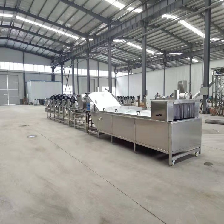 山野菜加工设备 山野菜漂烫机质量可靠