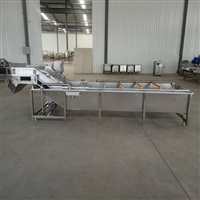 新式辣椒清洗机 定制辣椒清洗流水线