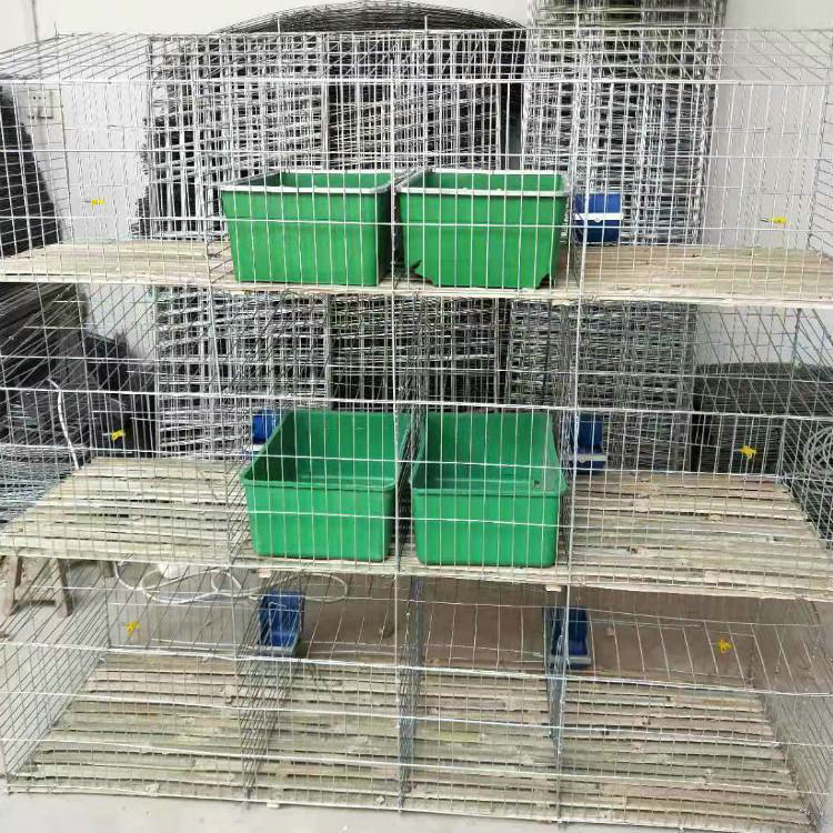 兔笼养殖兔笼仔母兔笼