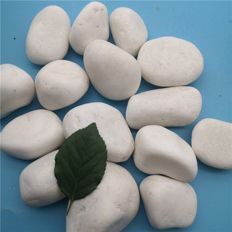 白色水洗石石子 永顺沧州水洗石石子批发