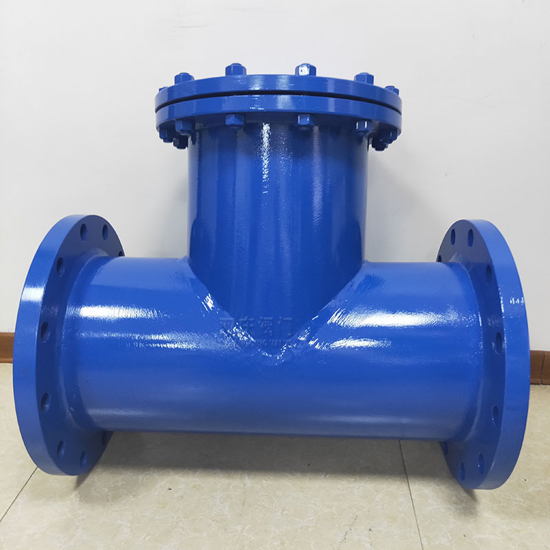 双庆防腐st34不锈钢316l管道直流t型过滤器dn100定制