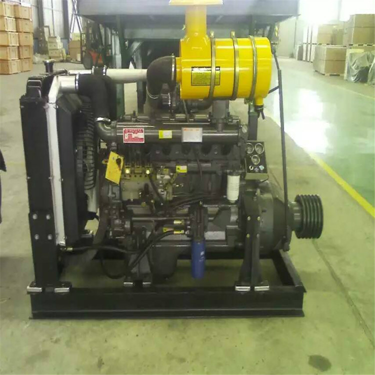 大柴498发动机ca4dc2-10e3柴油机维修凸机 裸机