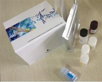  ELISA试剂盒；氧化酶试剂盒