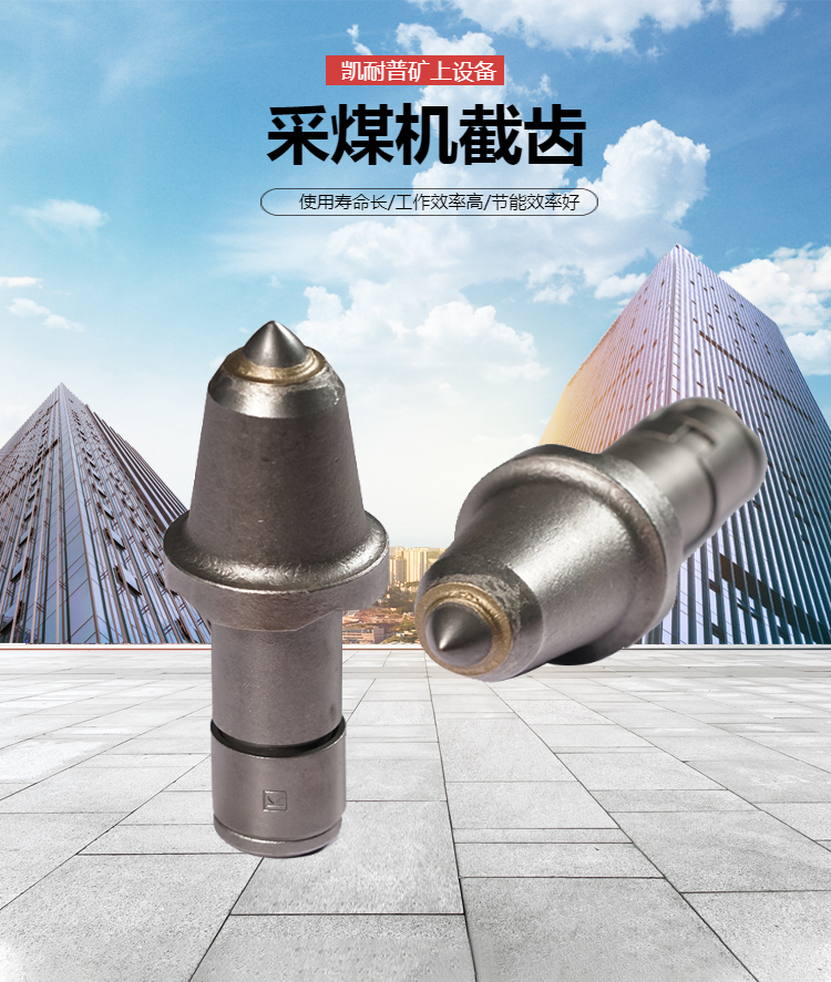 育“三新”动能拓县域新局