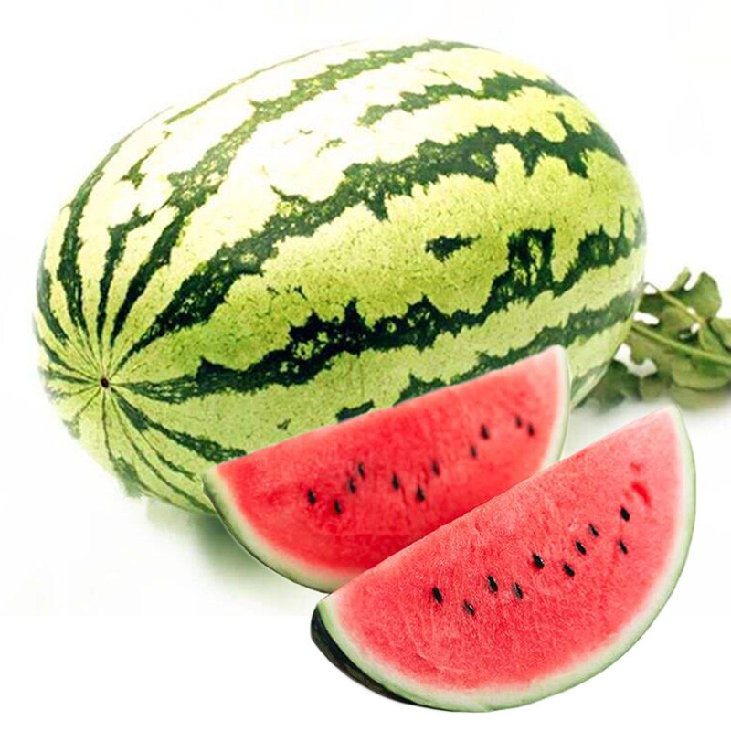 精选西瓜种子/自主研发/西农十八号/专业种子/适应性广/口感佳/抗病