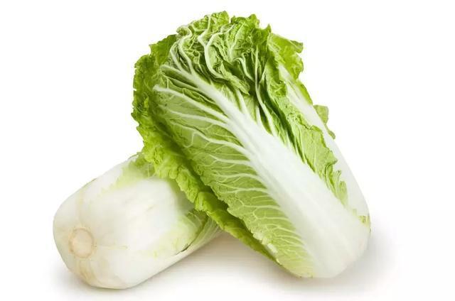 精选种子白菜种子菜农选择津高2号自主研发抗病上市早生长速度快价格