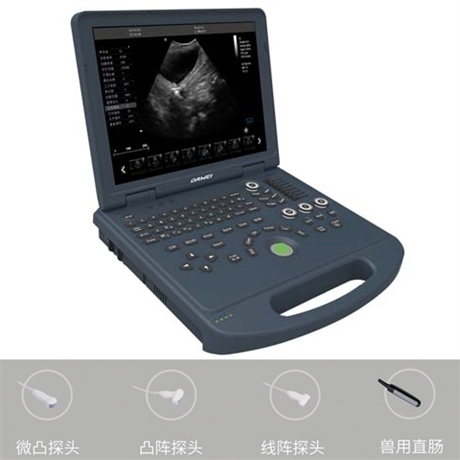  猫彩超机 猫腹部b超机 猫腹腔B超机 猫心脏彩超机 猫b超机价格