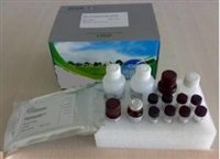 上海通蔚PYRAM ELISA kit试剂盒 胃蛋白酶检测试剂盒