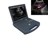 猫孕期彩超机 猫心脏彩超猫肾脏彩超机 猫心脏彩超 猫彩超机厂家