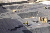 塘沽区铺油毡SBS卷材 防水补漏堵漏