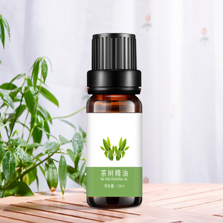 茶树精油植物香薰按摩精油贴牌oemodm