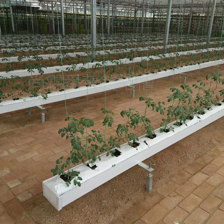 西红柿栽培槽生态园番茄种植槽草莓种植槽批发