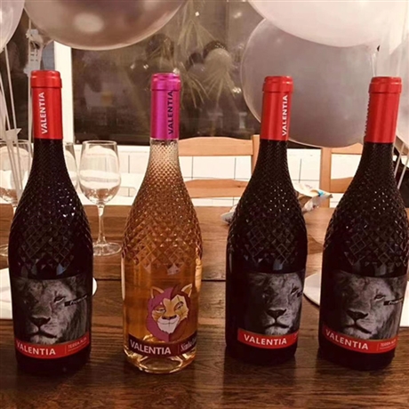 西班牙进口维帝亚辛巴狮王系列葡萄酒750ml酒水供应链