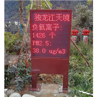 广州市原始山林负氧离子监测仪