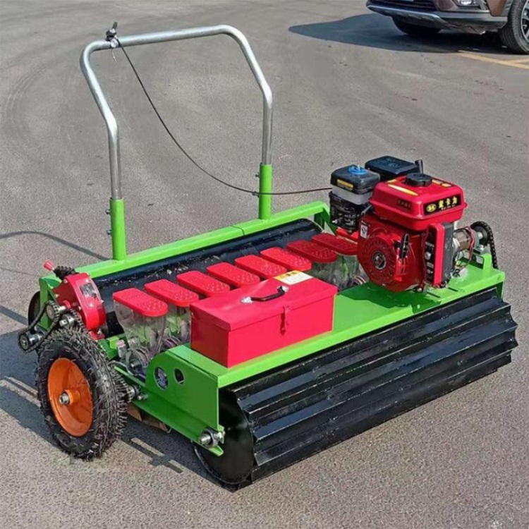 全自动芹菜播种机 农用播种机 小型电动播种机多种型号