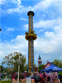 天鸿 大型户外公园 游乐场设备 旋转塔 观光跳楼机