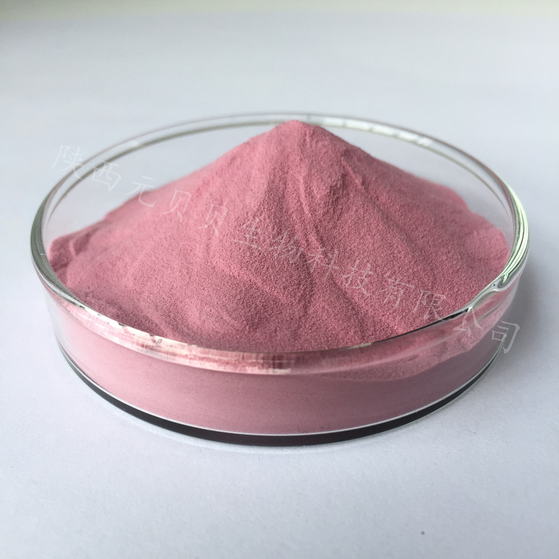 黑果腺肋花楸果粉壹贝子批发不老莓粉野樱莓提取物野樱莓果粉