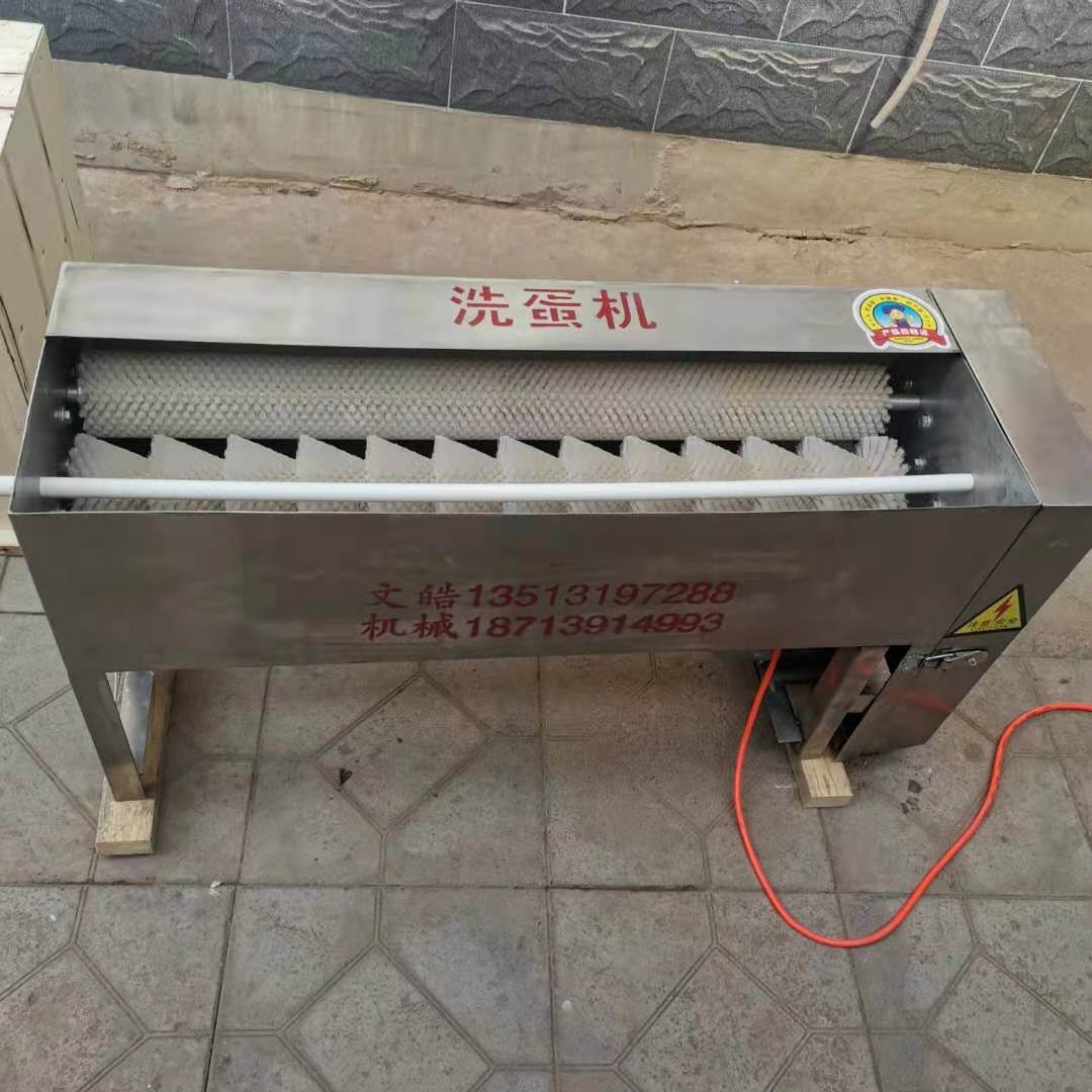 小型洗蛋机 新型洗蛋机 蛋品清洗器