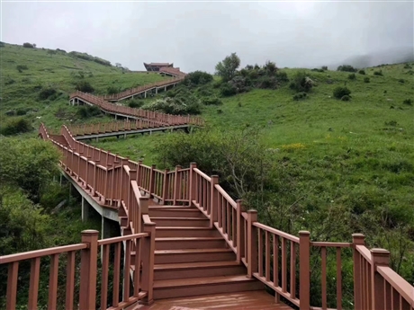 山東木塑護(hù)欄價格 木塑圍欄 景觀平臺塑木欄桿  廠家供貨