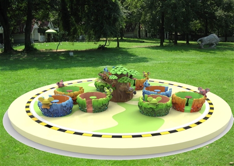 天鸿室外游乐设备转转杯