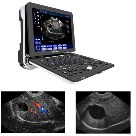 小动物高分辨率超声成像系统 鼠b超机 高校科研彩超 动物超声厂家
