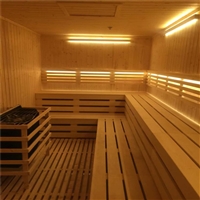 新型汗蒸房 艾叶远红外光波汗蒸房 厂家安装经验丰富