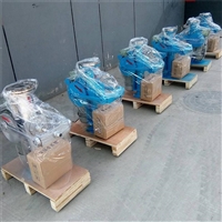 DN250电动矿浆取样机取样精度高  DN250矿浆采样机