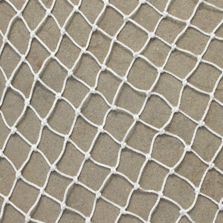 沿着黄河遇见海 生态护岸“织绿网” 黄河安澜润泰安