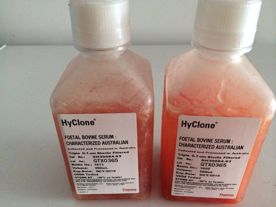 胚胎干细胞专用胎牛血清hyclonesh3007003