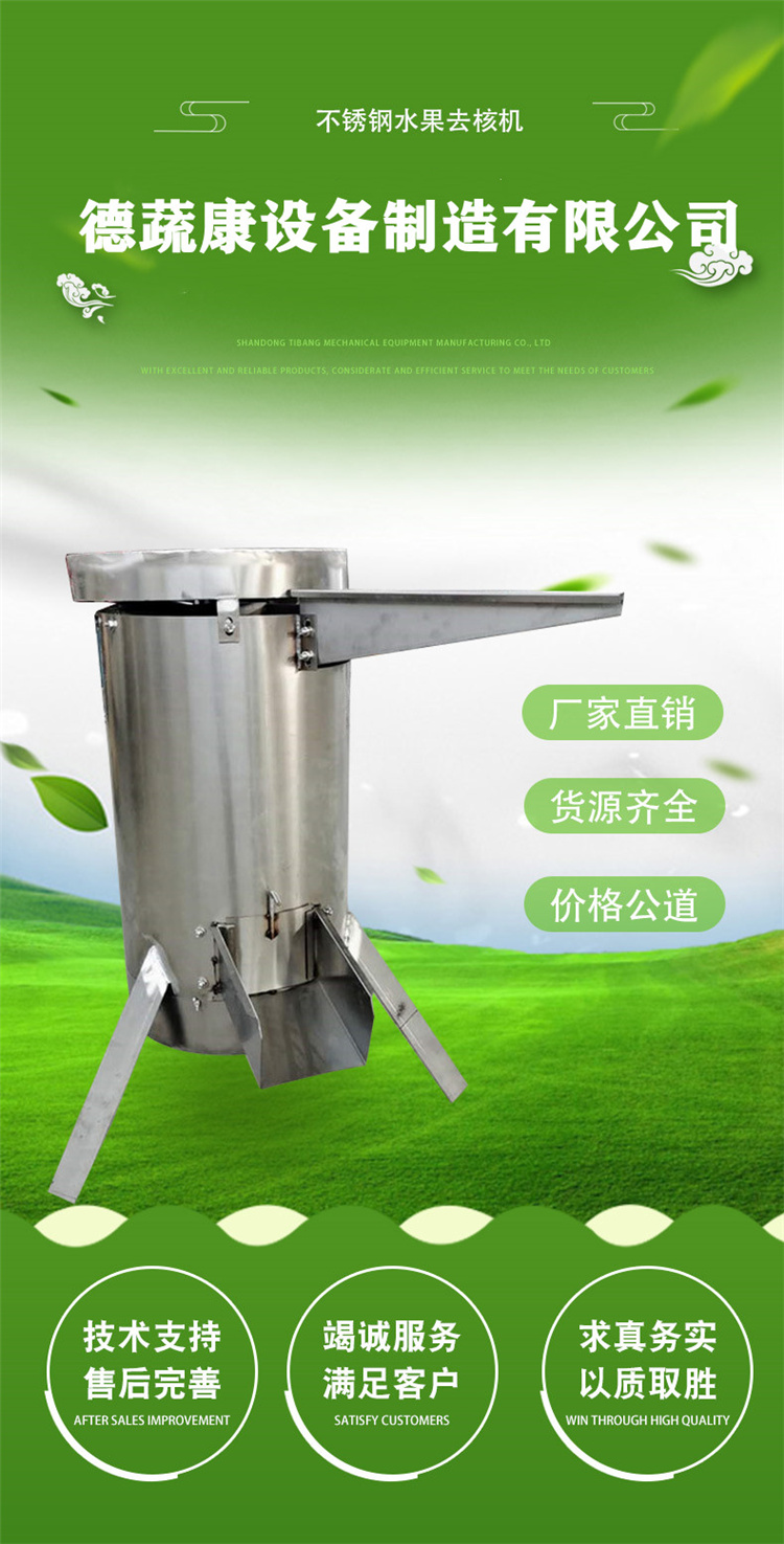 德蔬康龙眼不锈钢脱核机 杏梅skqh-0.5t不不锈钢去核打浆机