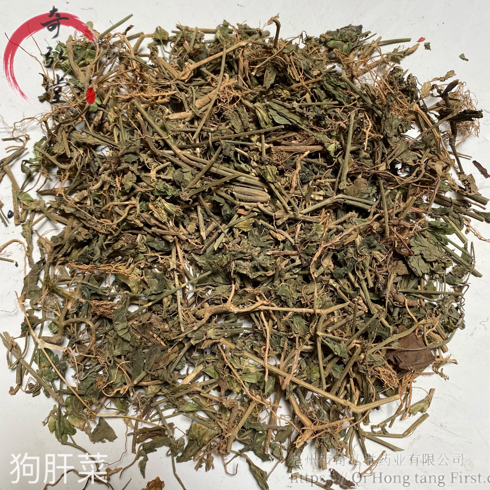 狗肝菜的功效与作用图片