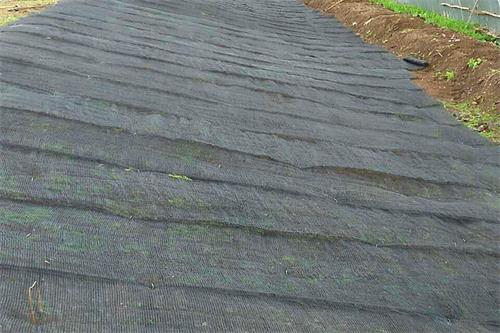 龙岩水土保护毯批发 三维柔性水土保护毯公司