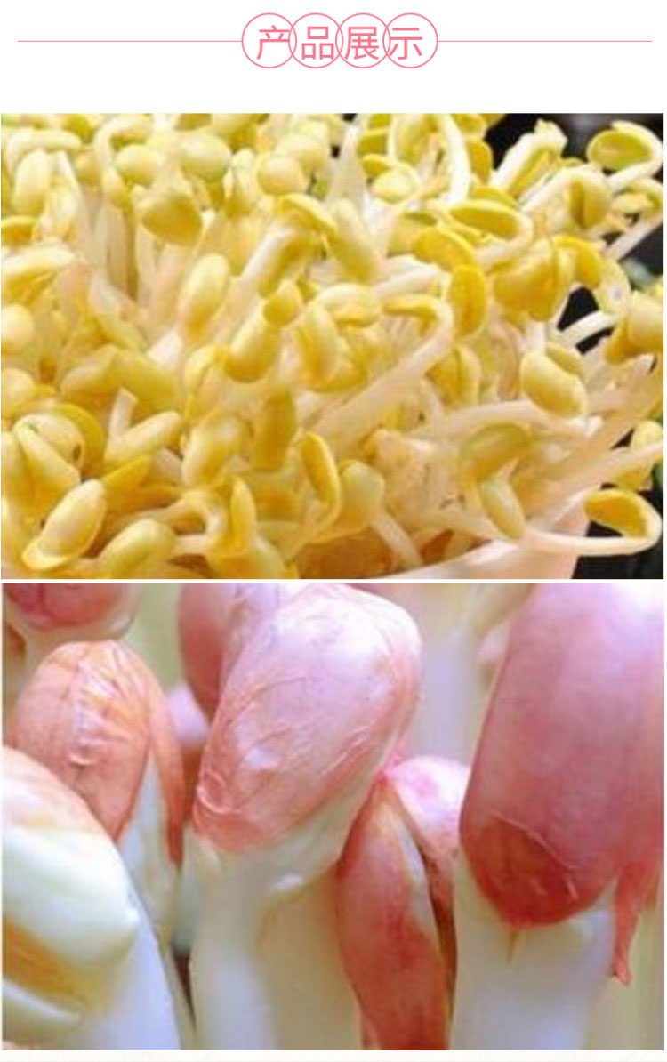 南昌市双控豆芽机多功能不添加任何药剂豆芽机循环生长