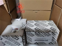 燃烧器火焰探头MM60004火焰传感器MM60004/U