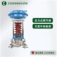 瓯北阀门 自力式调节阀 ZZYP DN125 减压阀 调节阀