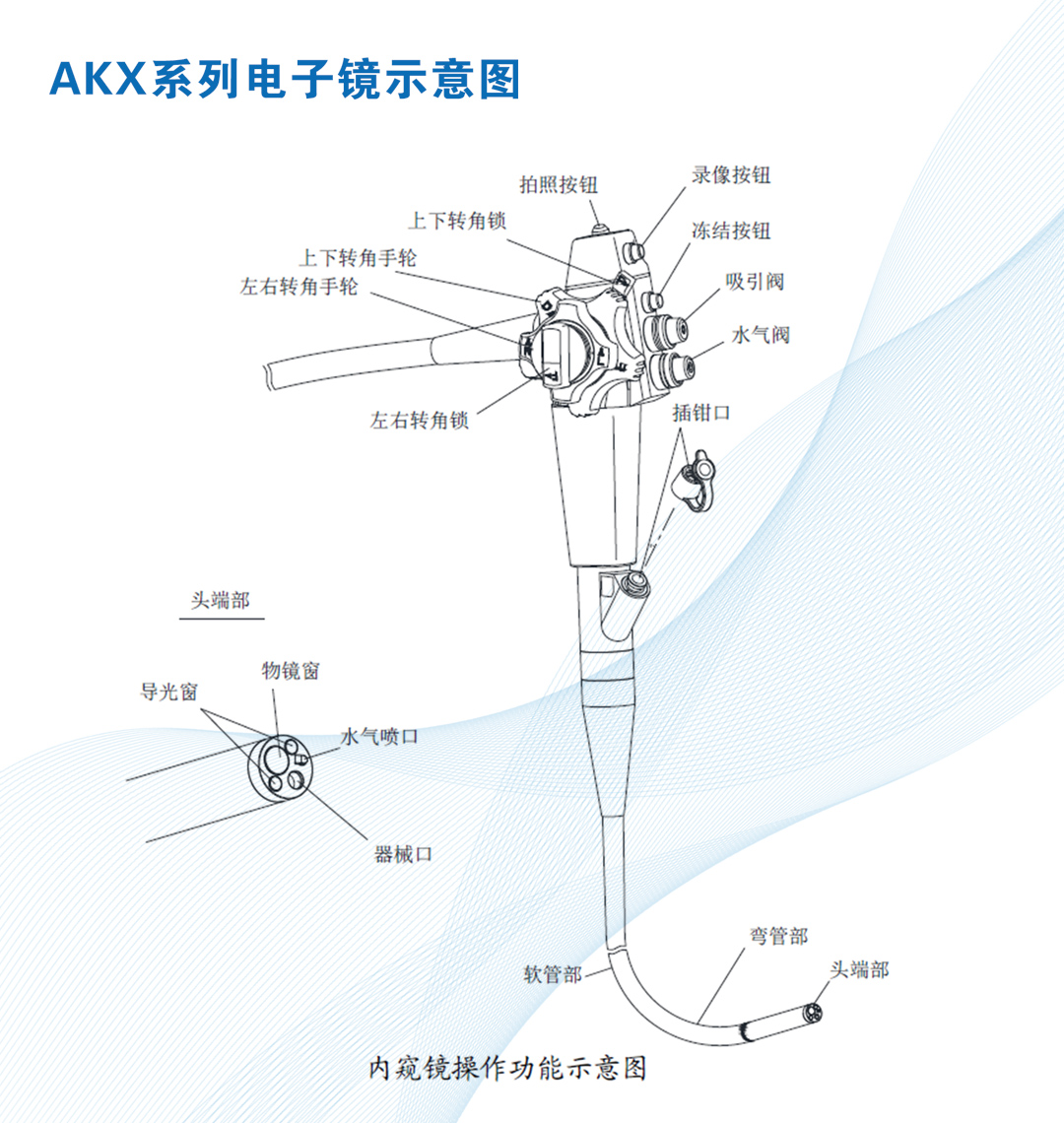 兽用消化道内窥镜动物用肠镜