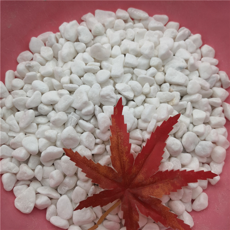 白色石子 白色碎石 水磨石石子