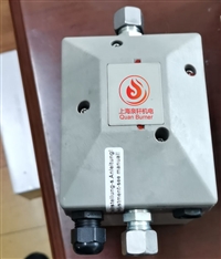 DUNGS阀门检测单元VDK200A S02