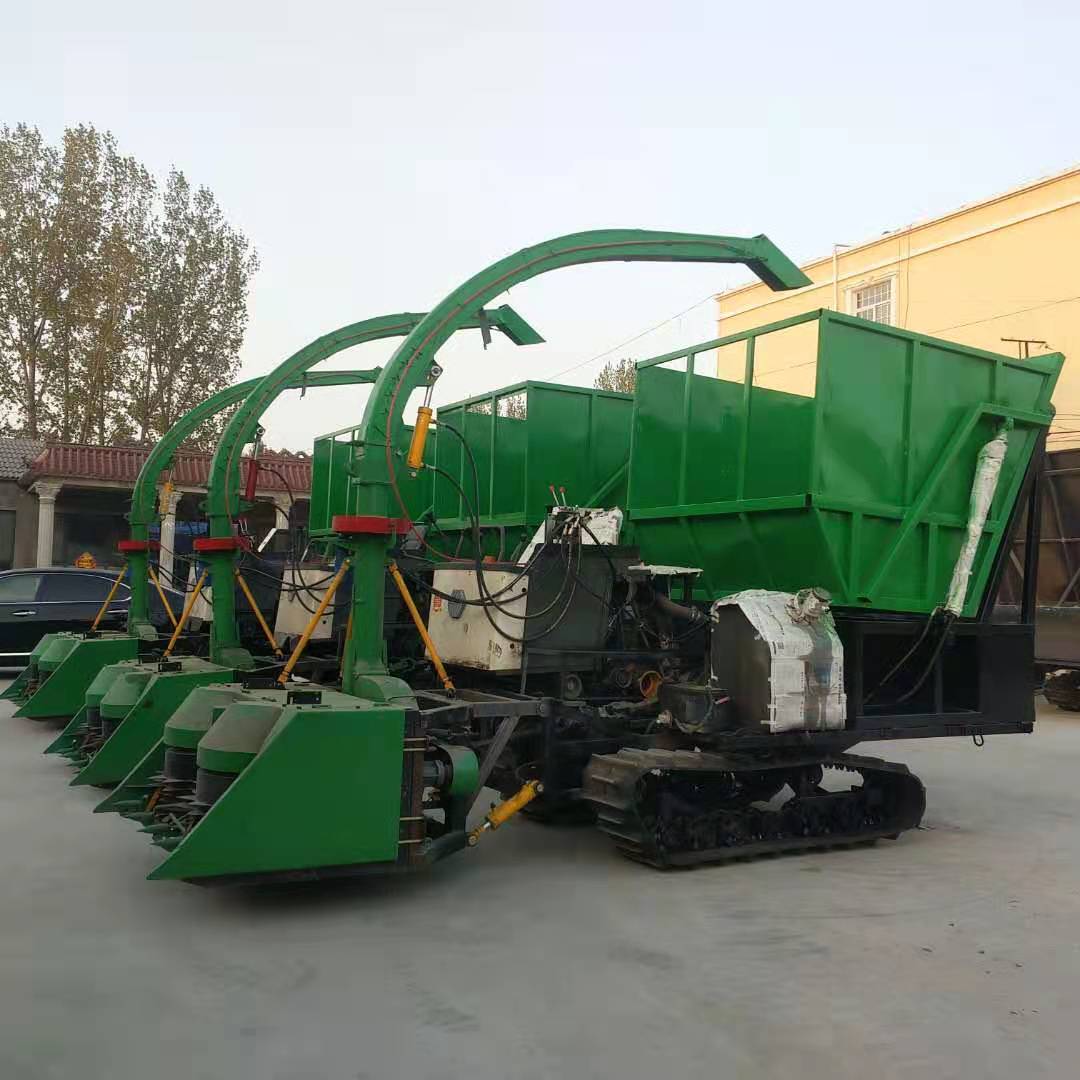 江西皇竹草粉碎收割机小型皇竹草青储收割机